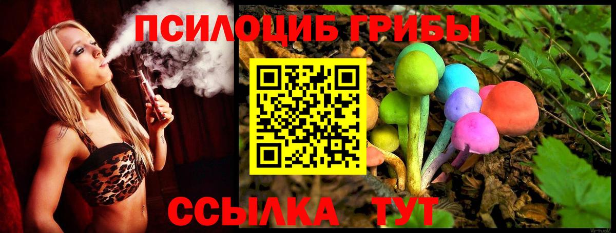 Галлюциногенные грибы Psilocybe Нефтекамск