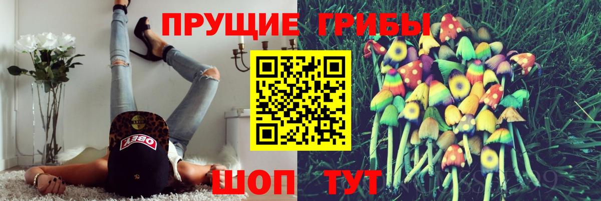 Нефтекамск  Галлюциногенные грибы MAGIC MUSHROOMS  Галлюциногенные грибы Psilocybine cubensis  Вход с VPN 