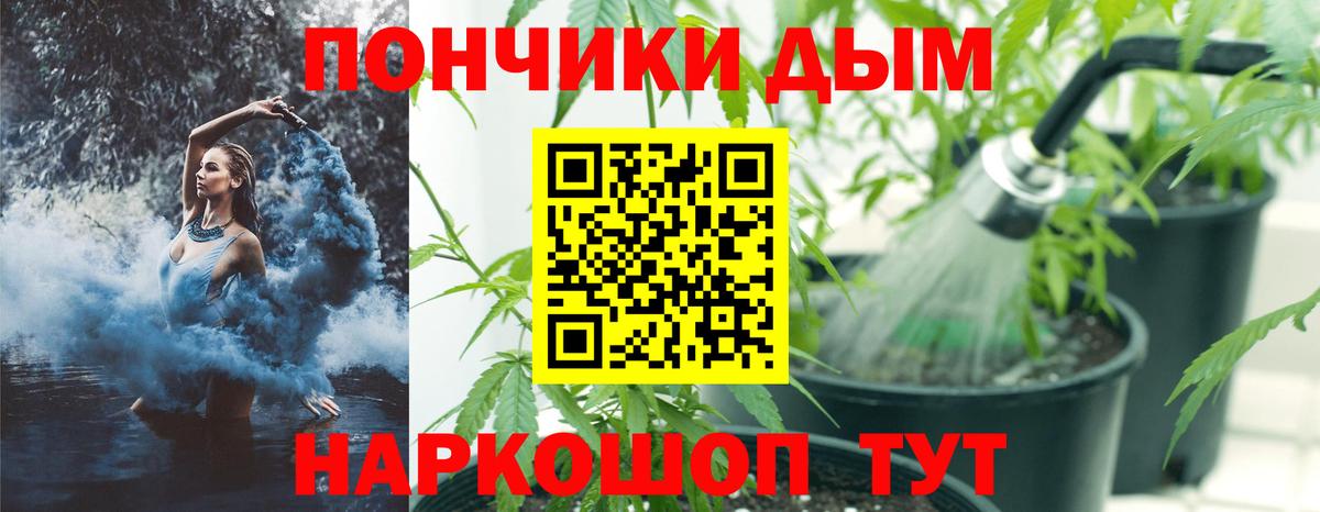 Марихуана Ganja  Вход с VPN  Нефтекамск  Бошки марихуана White Widow  Шишки марихуана THC 21% 